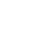 MOTORISATION SPECIALISTS